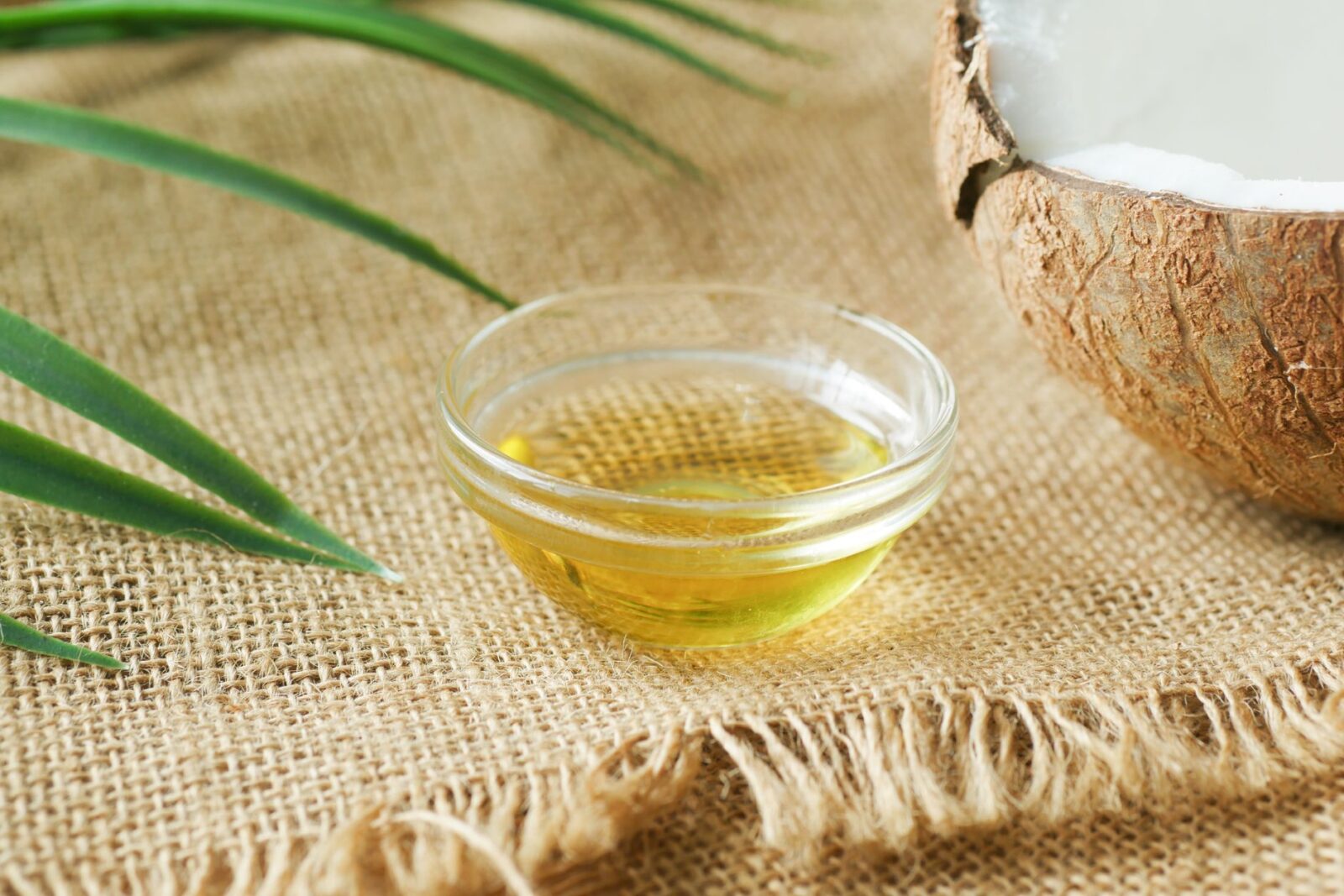 Huile de coco pour les cheveux : usages, bienfaits et erreurs à éviter